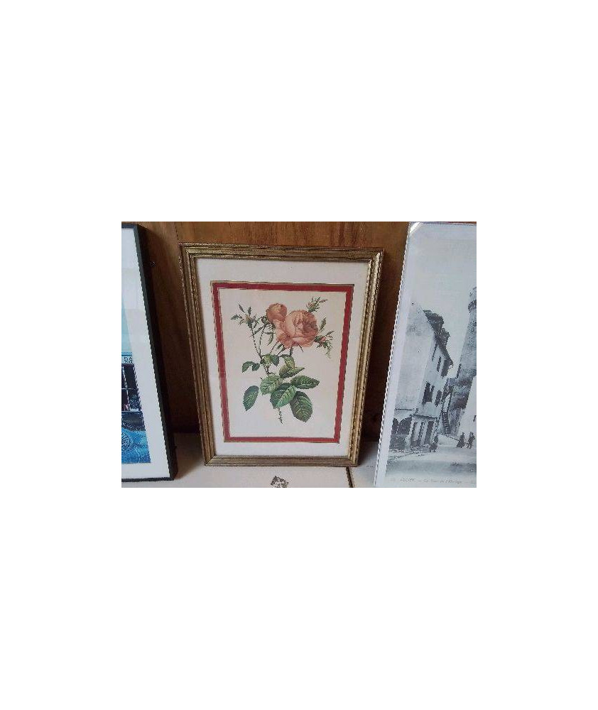 CADRE FLEUR 