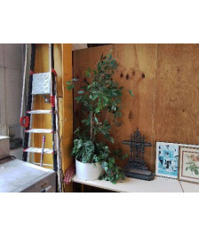 PLANTE ARTIFICIELLE DECO 