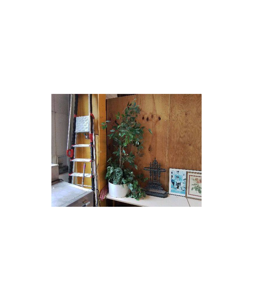PLANTE ARTIFICIELLE DECO 