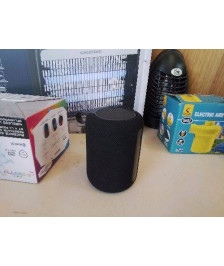 PETITE ENCEINTE 