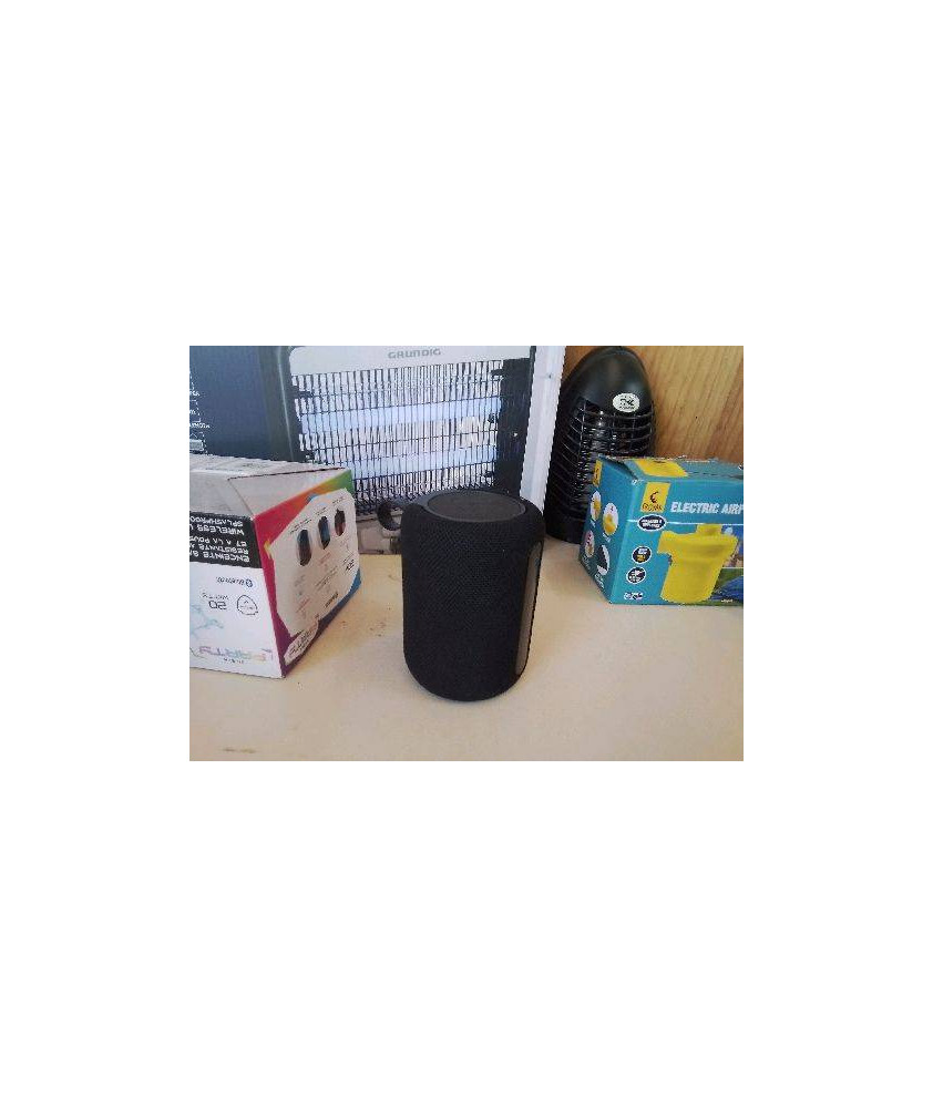 PETITE ENCEINTE 