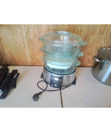CUISEUR VAPEUR RUSSELL HOBBS