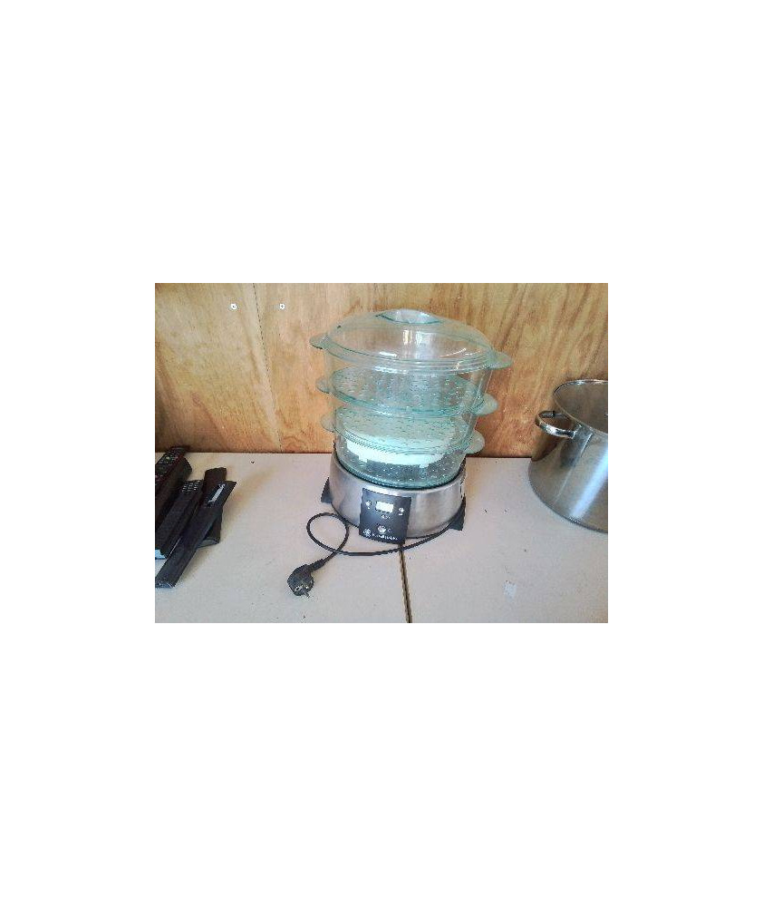 CUISEUR VAPEUR RUSSELL HOBBS