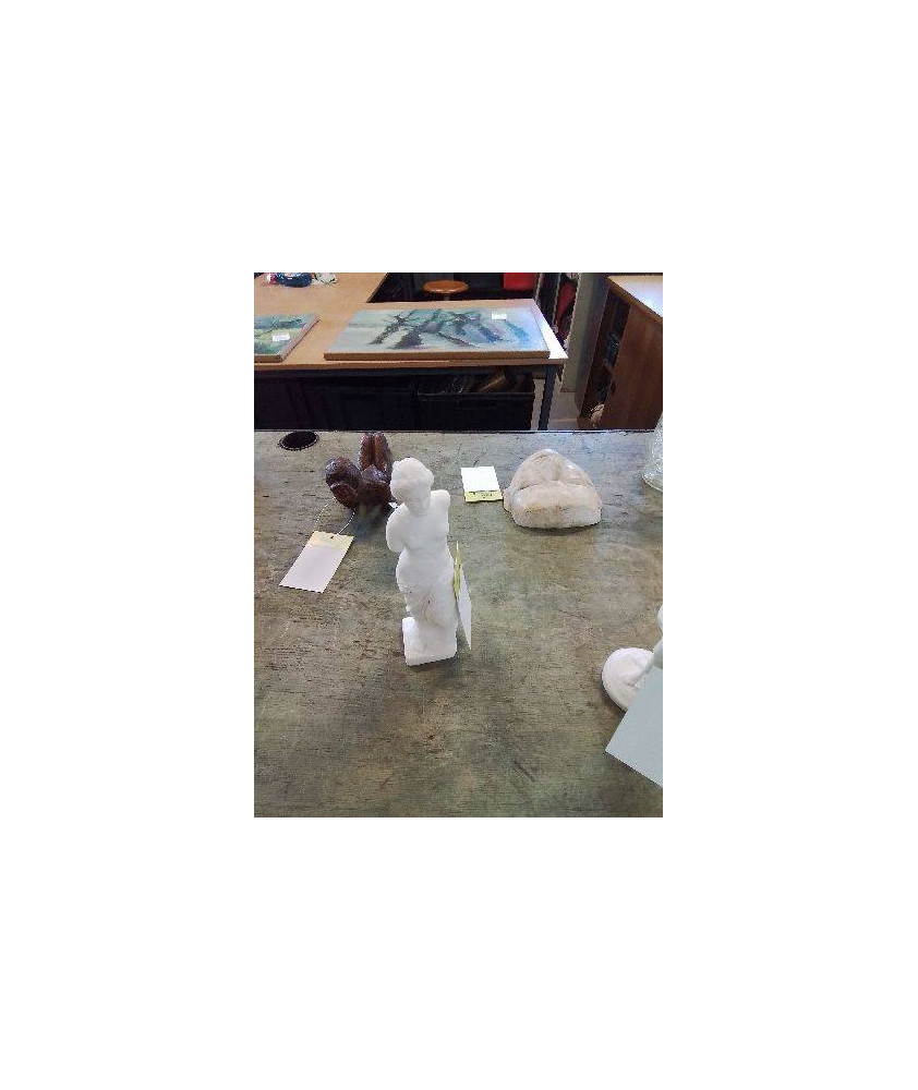 STATUETTE PIERRE VENUS DE MILO 24 CM 