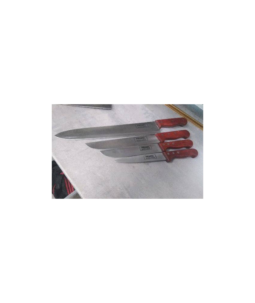 COUTEAUX PRADEL X4