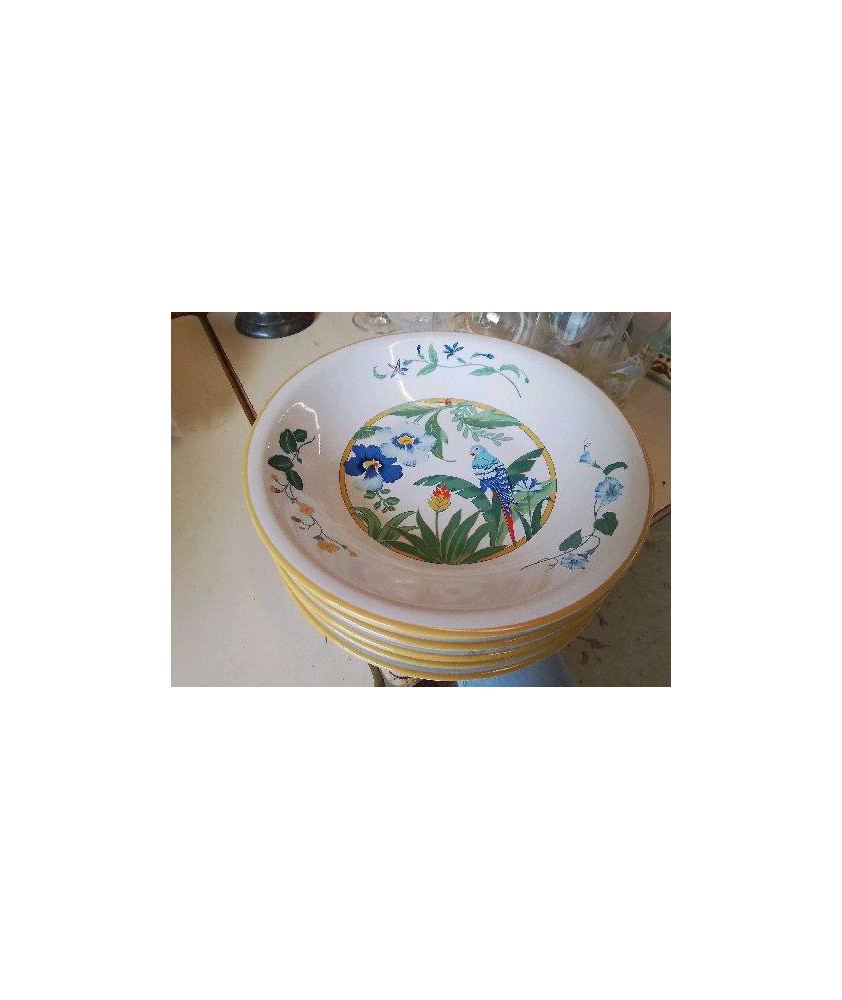 LOT DE 6 ASSIETTES CREUSES 