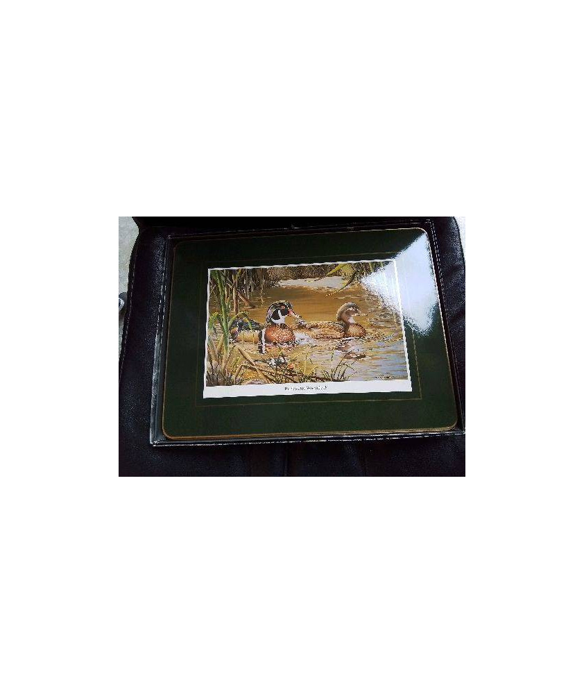 ENSEMBLE SET DE TABLE