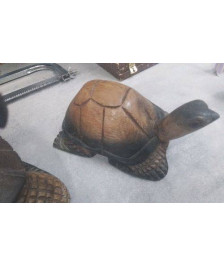 DECO TORTUE PM