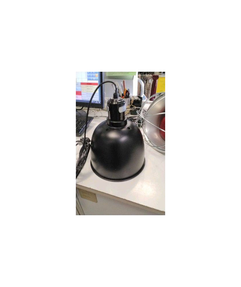 LAMPE A PINCER NOIRE 