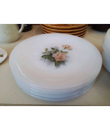 LOT DE 6 ASSIETTES PLATE OPALINE MOTIF FLORAL 