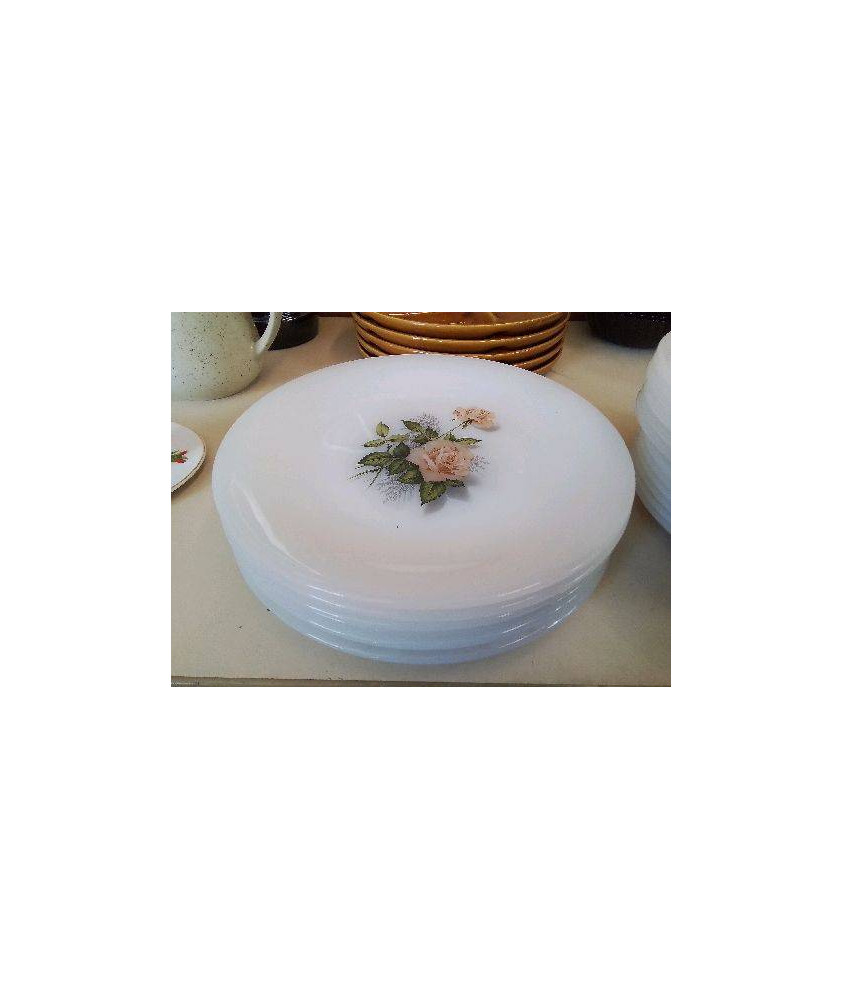 LOT DE 6 ASSIETTES PLATE OPALINE MOTIF FLORAL 