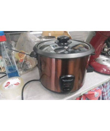 CUISEUR A RIZ TECHWOOD 