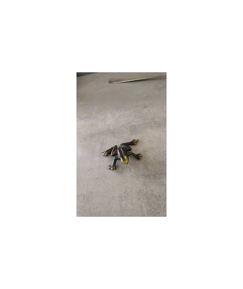 DECO GRENOUILLE METAL 