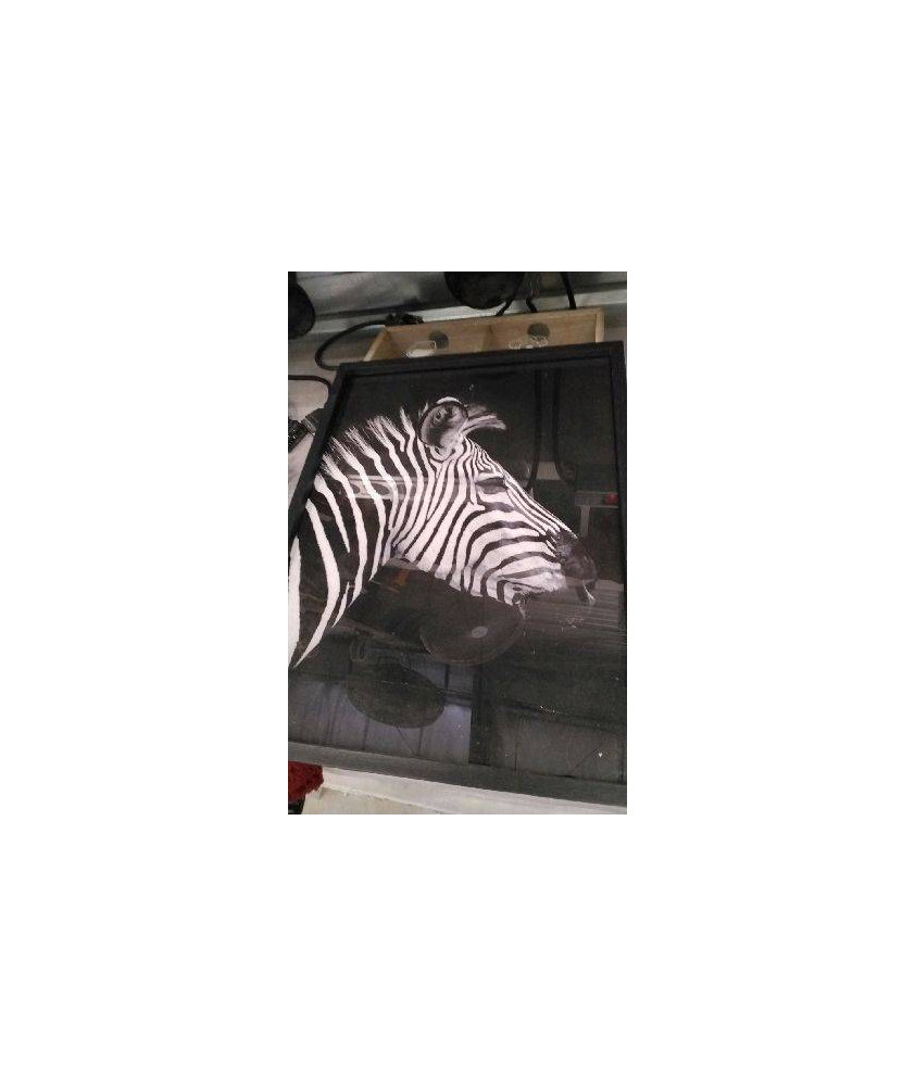 CADRE ZEBRE 