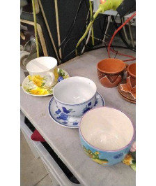 TASSE GM