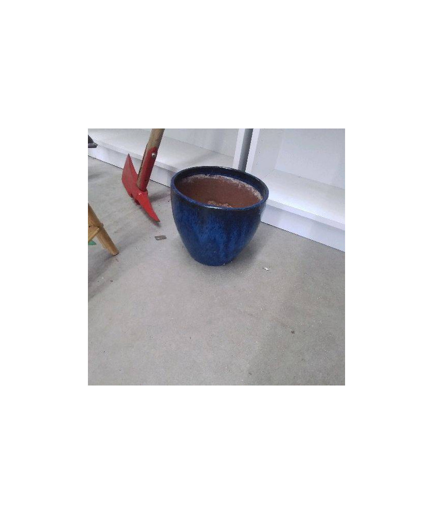 CACHE POT 