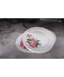 ASSIETTES + PLATEAU PLASTIQUE LE LOT