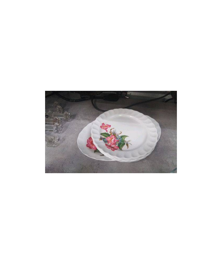 ASSIETTES + PLATEAU PLASTIQUE LE LOT