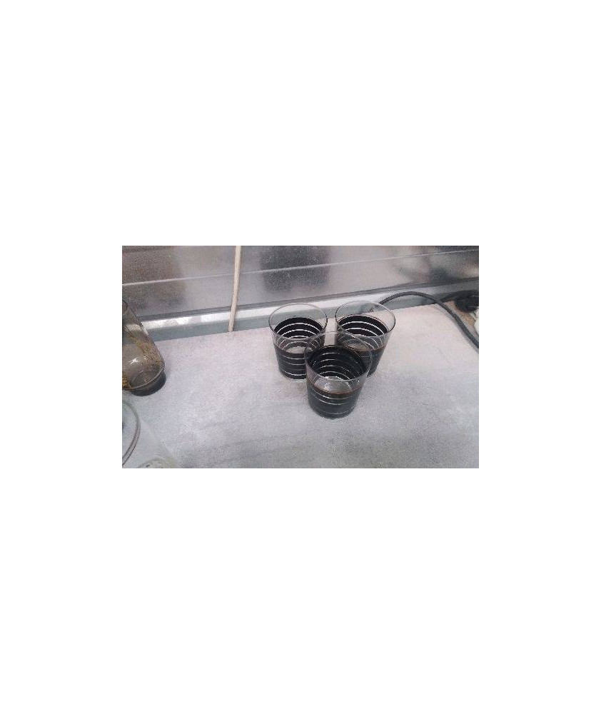 VERRE ARNAUD DE FRANCE LE LOT