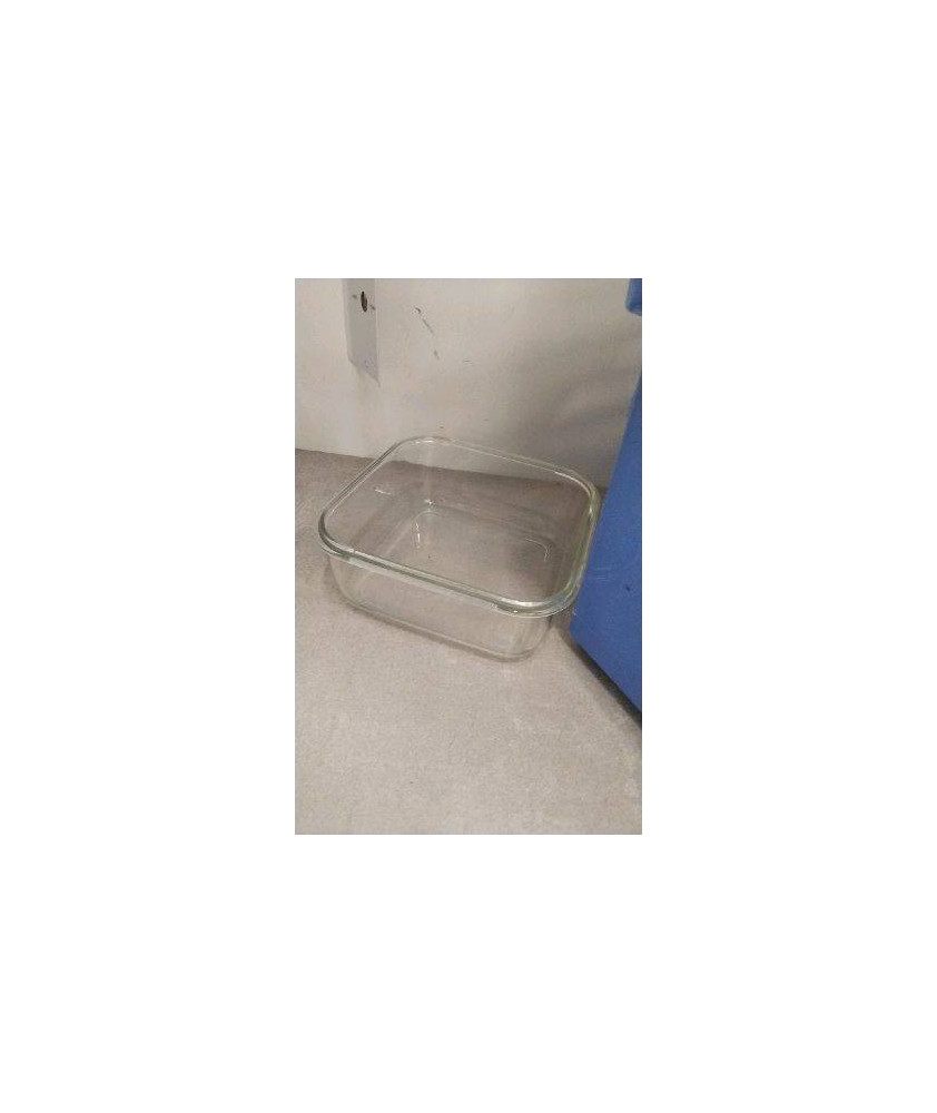 PLAT VERRE CARRE 