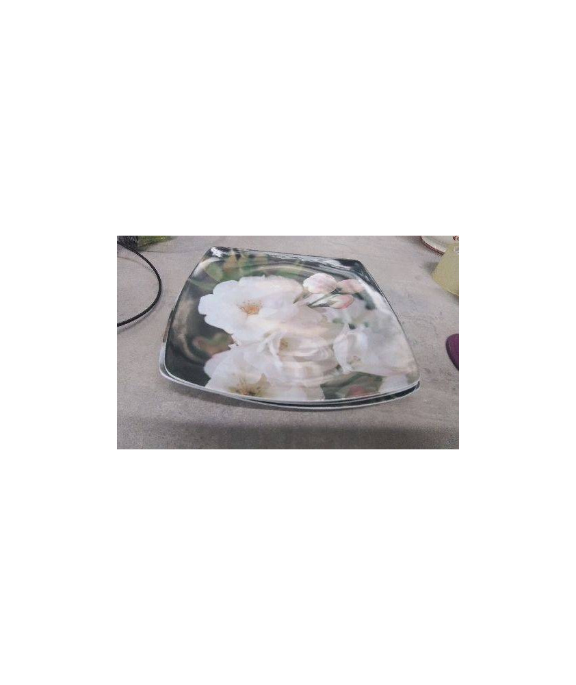 ASSIETTES PLASTIQUES 