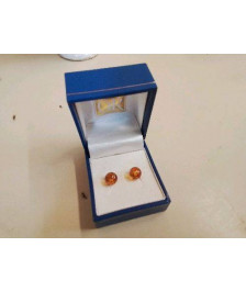 BOUTON D’OREILLE EN AMBRE 