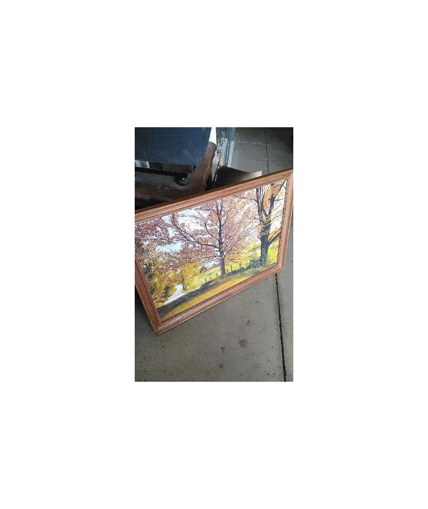 CADRE PEINTURE ARBRES