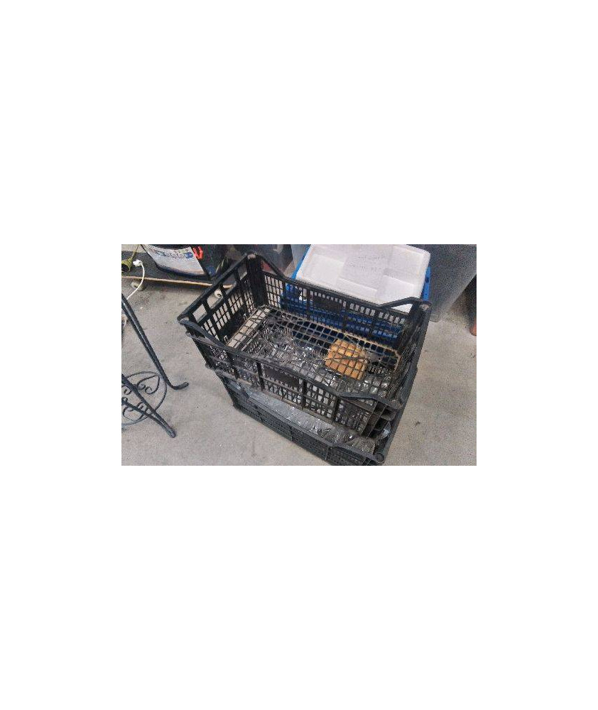 CAISSE PLASTIQUE NOIRE 
