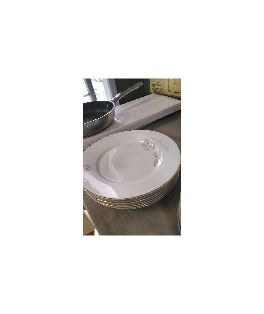 ASSIETTE LIMOGES LE LOT