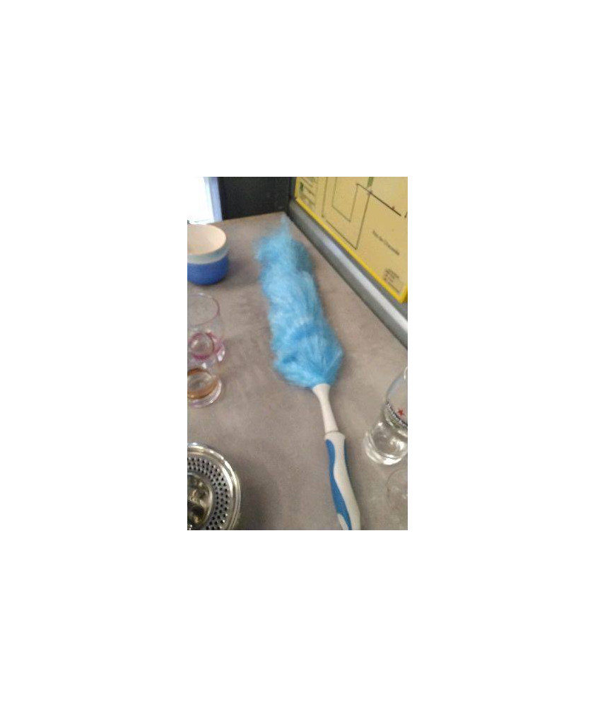 PLUMEAU BLEU