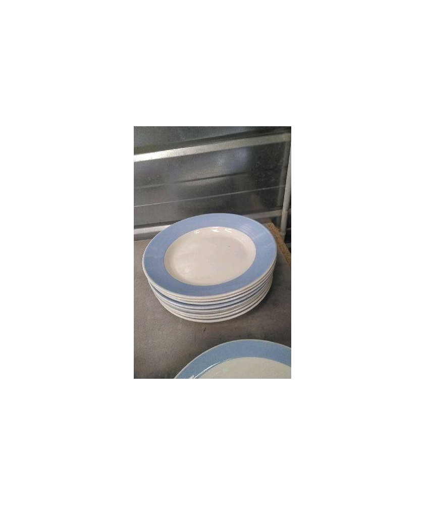 ASSIETTE BLANCHE BLEUE LE LOT