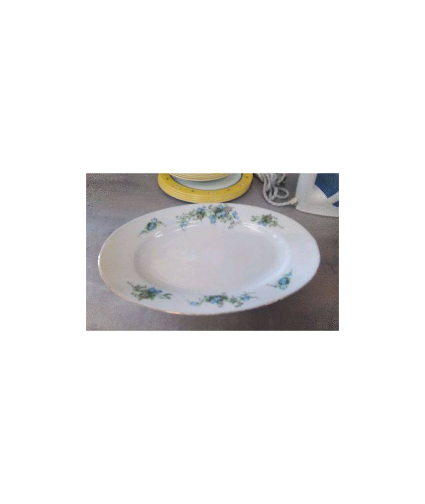 PLAT OVALE 