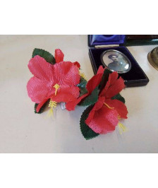 PINCE COQUELICOT 