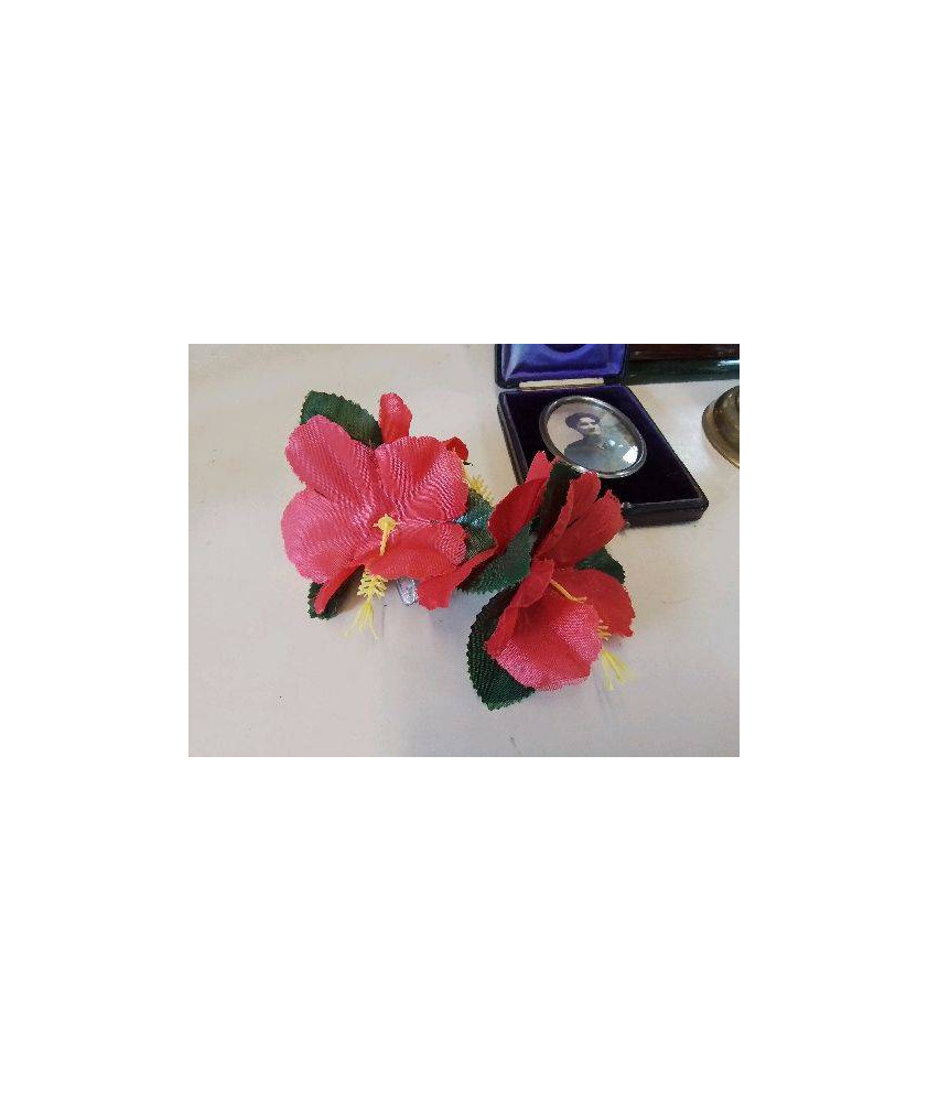 PINCE COQUELICOT 