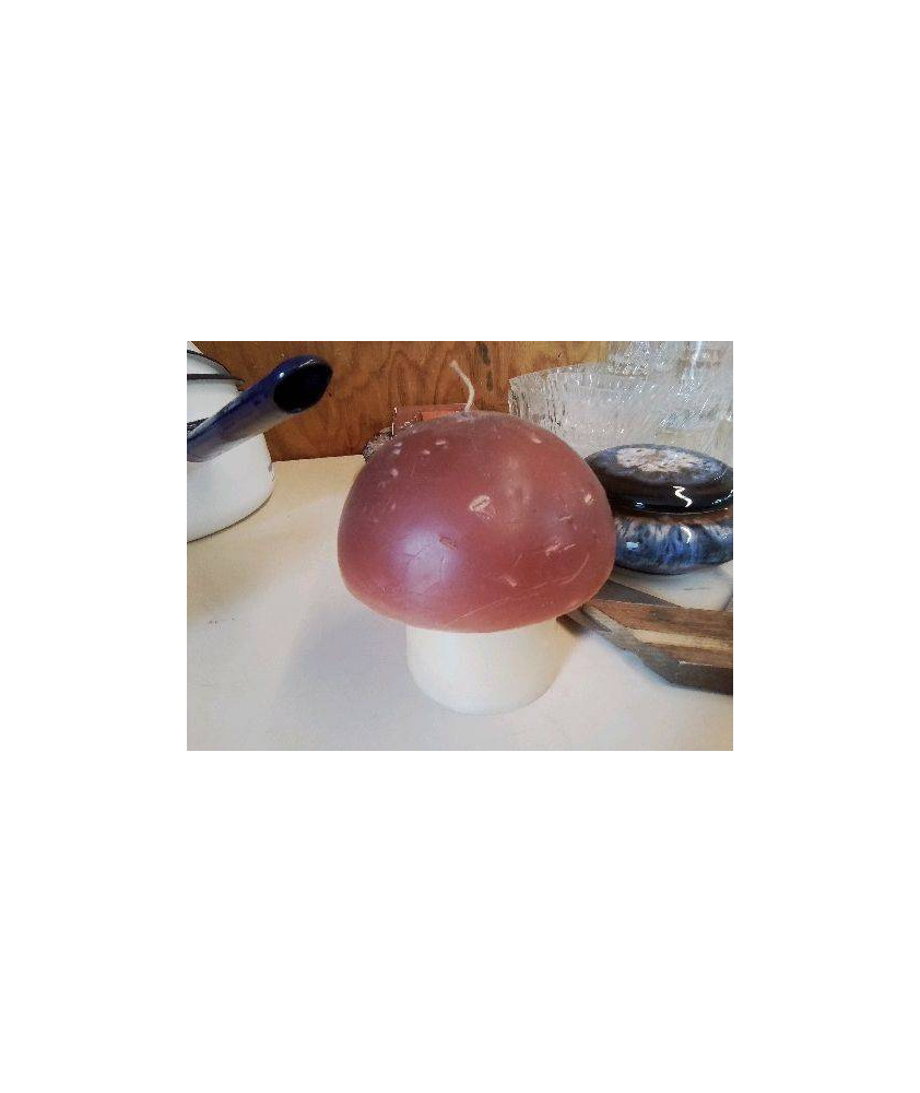 BOUGIE CHAMPIGNON