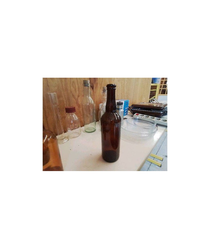 BOUTEILLE EN VERRE
