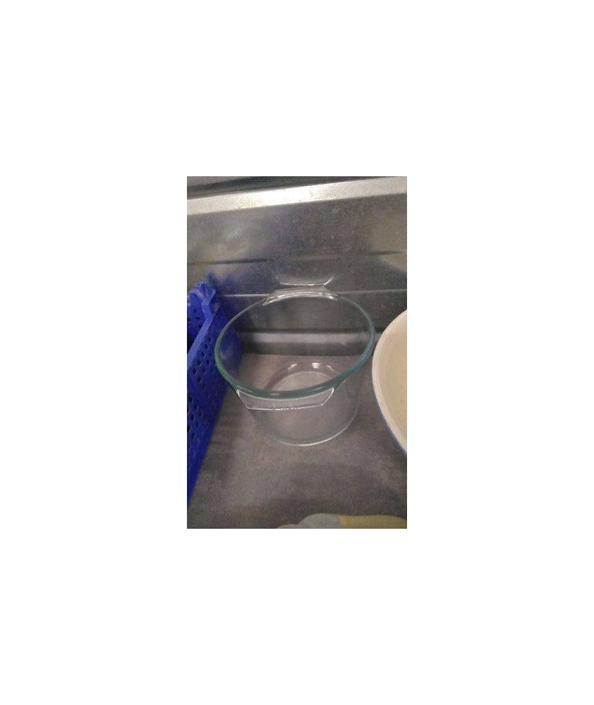PLAT CREUX PYREX