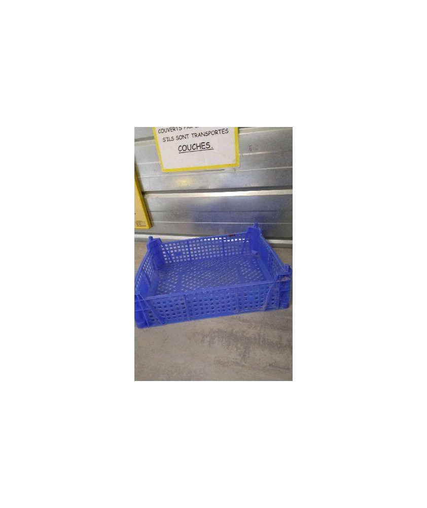 CAISSE PLASTIQUE 