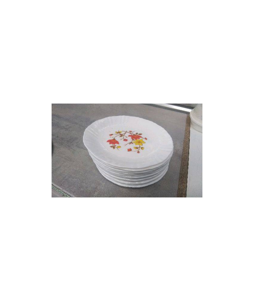 ASSIETTES DESSERT ARCOPAL 
