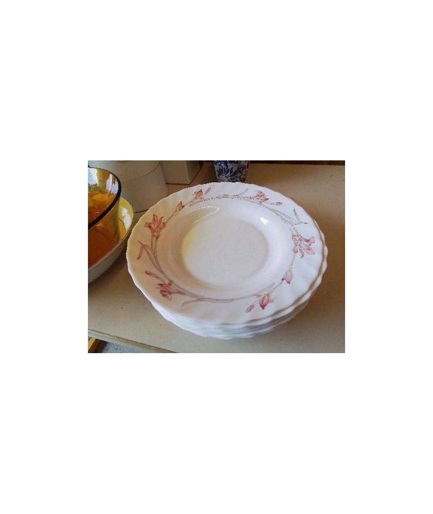 LOT DE 7 ASSIETTES CREUSES