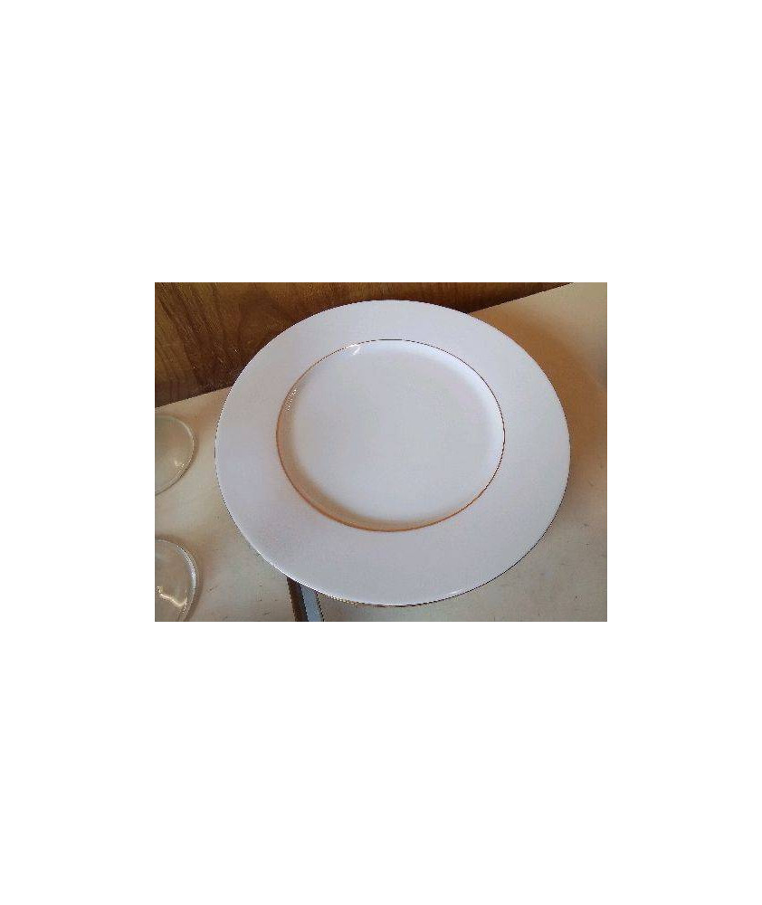 LOT DE 4 ASSIETTES EN PORCELAINE 