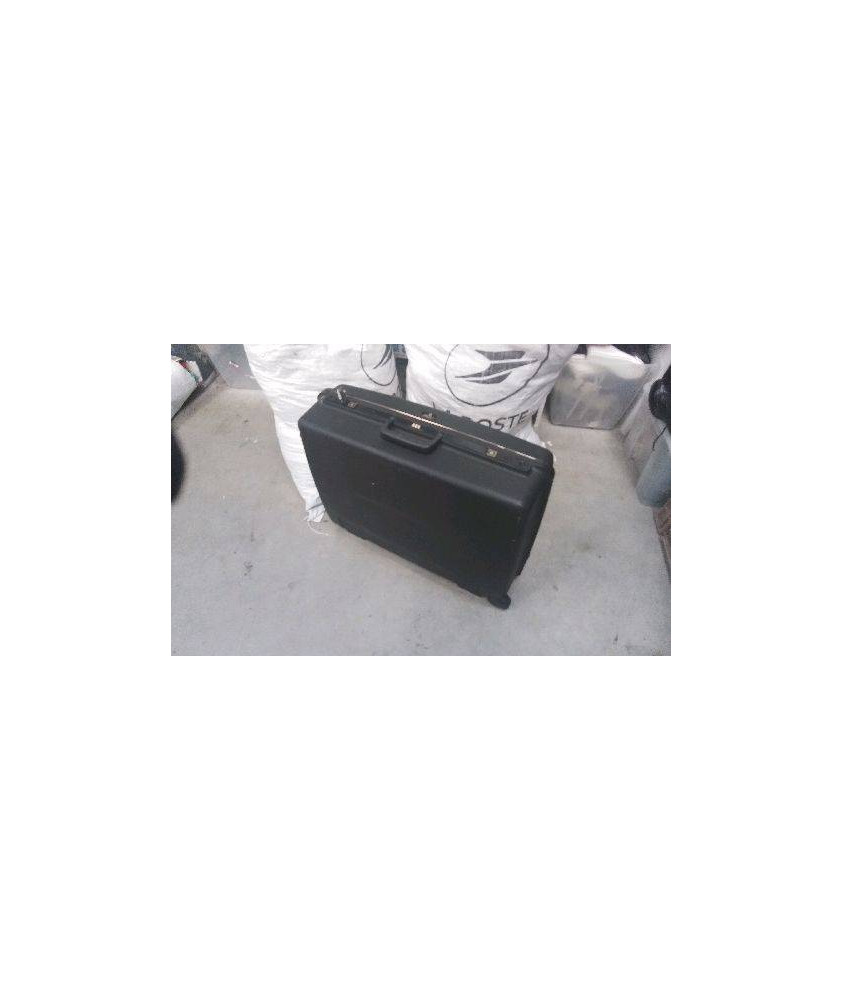VALISE DELSEY 