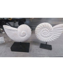 DECO COQUILLAGE 