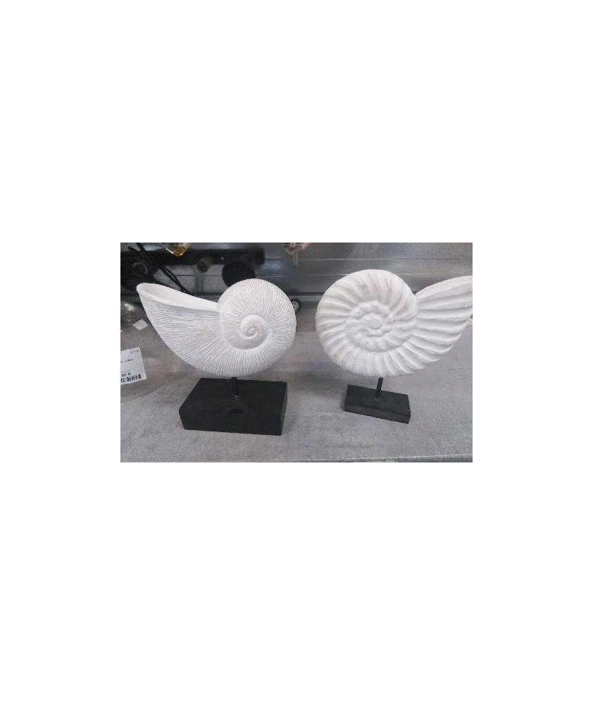 DECO COQUILLAGE 
