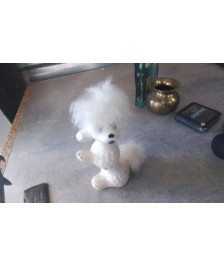 DECO CANICHE 