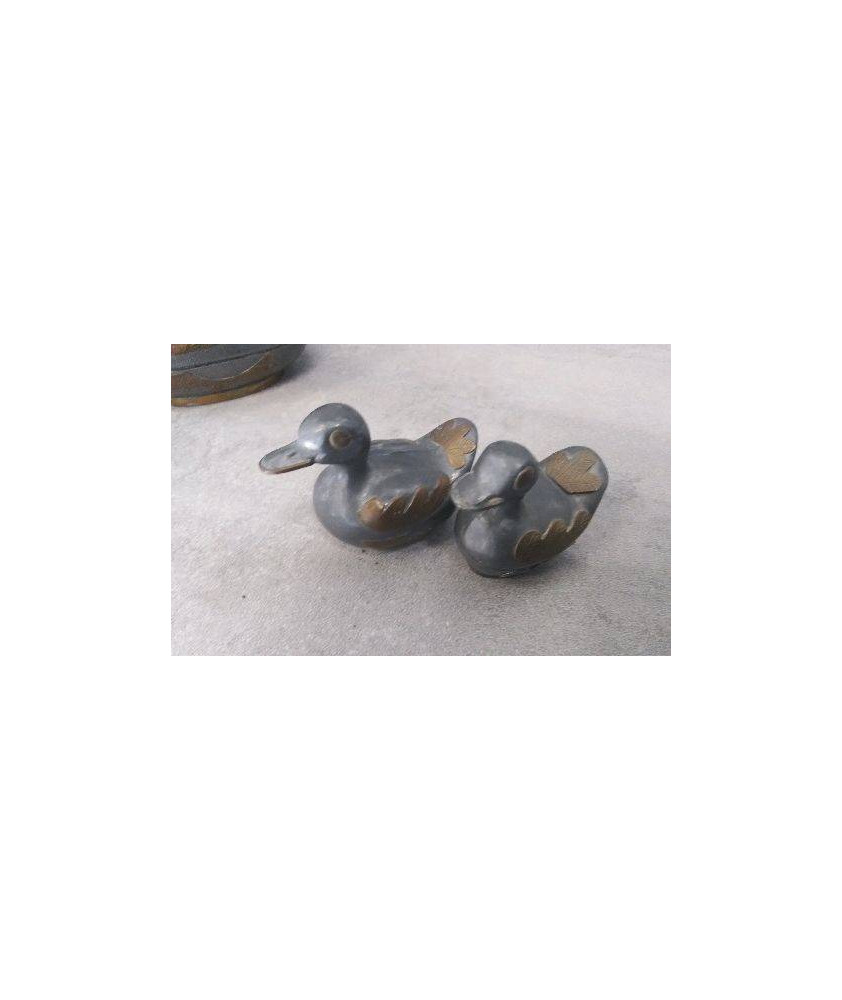 BOITE CANARD PM