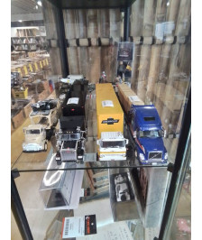 CAMION 