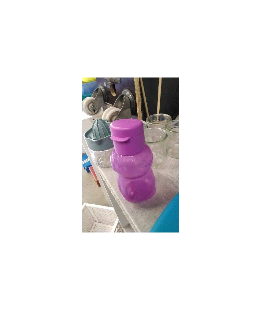 GOURDE PM VIOLETTE 