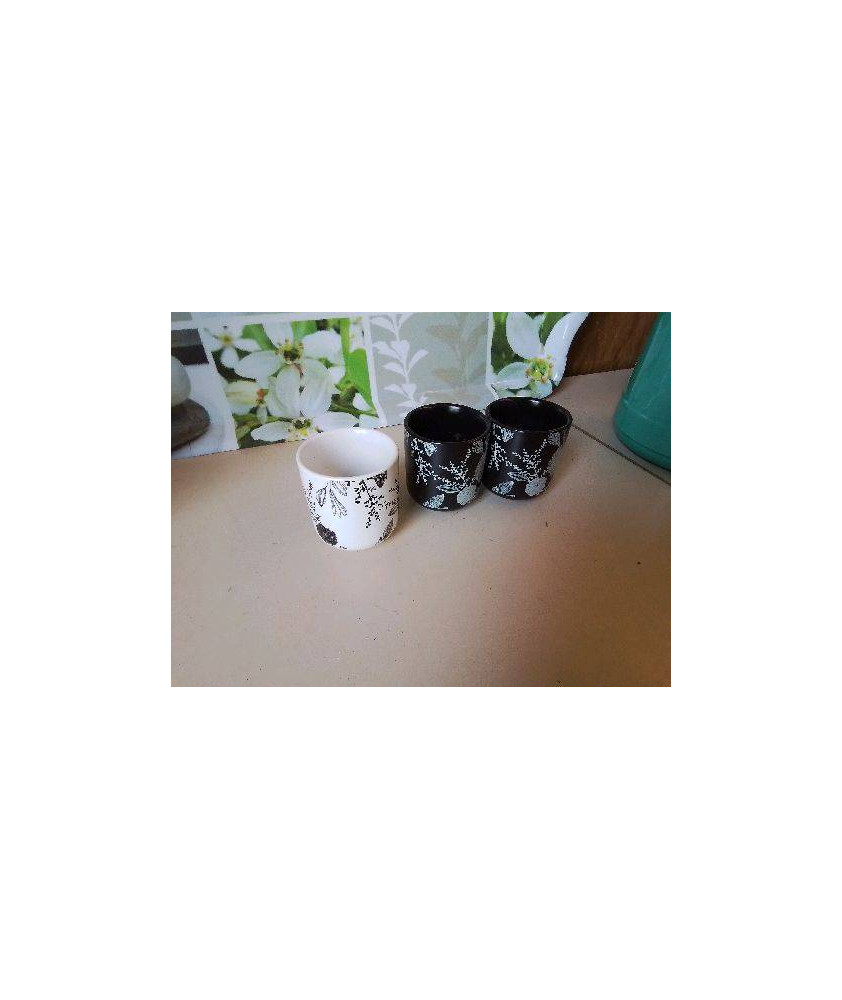 LOT 4 TASSES