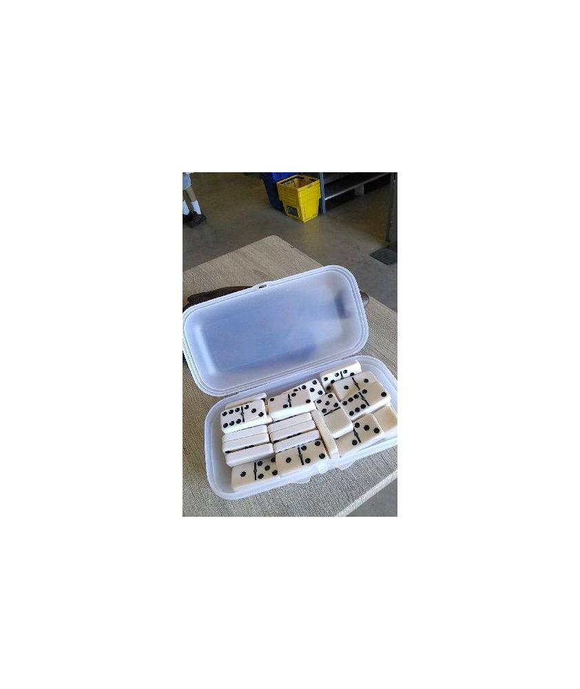 JEU DOMINO 